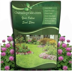 High Yield Red Clover Seeds – 10 lbs. for Companion Planting