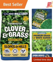 Clover & Grass Mix 7 Pounds Self-Fertilizing Pollinator-Friendly Lawn Seed