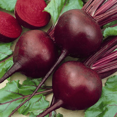200+ DETROIT DARK RED BEET SEEDSNO TRACKING ON ORDERS UNDER $16