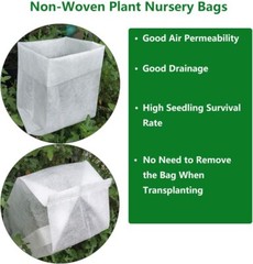 Easy Bee-zy™ Knock Out® Rose – Live Plant – ( 1 QT )