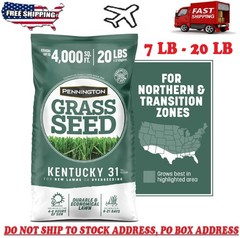 Pennington Kentucky 31 Tall Fescue Grass Seed Sun to Partial Shade 7- 20 lb Bag