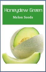 Honeydew Green Melon Seeds | NON-GMO | Heirloom | Fresh Garden Seeds