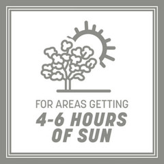 Pennington Contractors Central Zone Grass Seed Mix Sun Partial Shade 20 lb – New