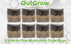 8 X All In One Mushroom Grow Bags