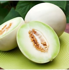 40 Premium Heirloom Green Flesh Honeydew Melon Seeds – Super Sweet&Tart