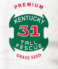 Kentucky 31 Tall Fescue Grass Turf Seed Heat Drought Wear Tolerant Many Sizes