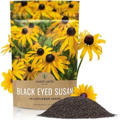 Black Eyed Susan Seeds – Bulk Quarter Pound Bag – Over 400000 Open Pollinated…