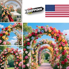Assorted Color Climbing Rose Seeds 600 Plus for Spring Summer Fall Blooms