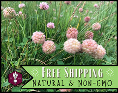 1,150+ Strawberry Clover Seeds | Pollinator Flower Seeds, Trifolium fragiferum