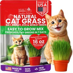 Premium Cat Grass Seeds for Indoor Cats, Non GMO – 1 lb Oat, Wheat, Barley & …