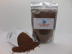 Broccoli Seeds for Sprouting Microgreens «COOL BEANS n SPROUTS»