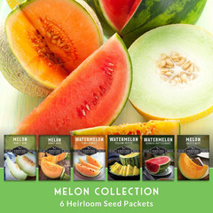Melon Seeds for Planting Variety Pack – 6 Heirloom Cantaloupe, Honeydew & Waterm